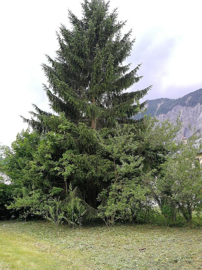 Sport'Hotel - Residence De Milan Le Bourg-dʼOisans Exterior foto